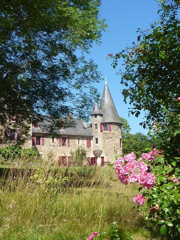Chateau De Bellefond Lagraulière المظهر الخارجي الصورة