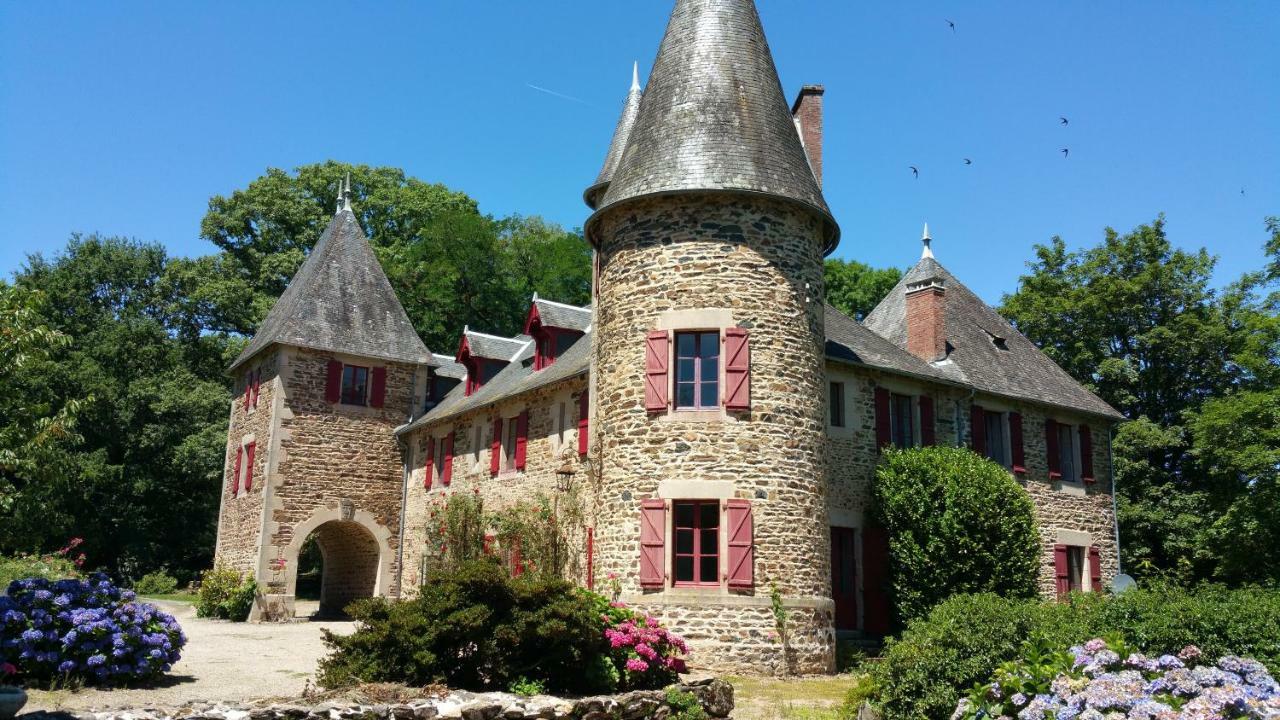 Chateau De Bellefond Lagraulière المظهر الخارجي الصورة