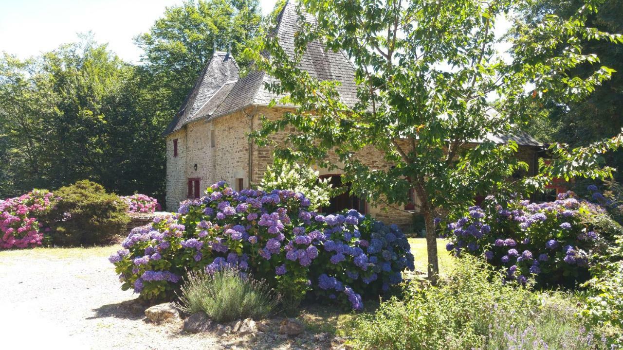 Chateau De Bellefond Lagraulière المظهر الخارجي الصورة
